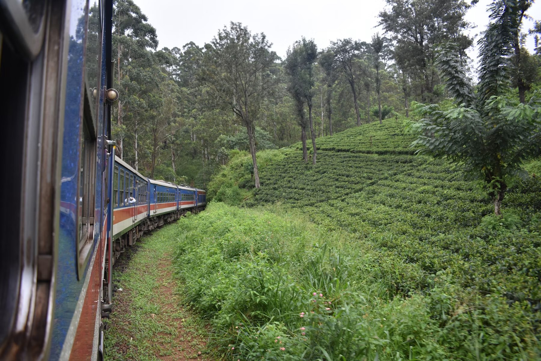 Scenic Sri Lanka hill country and train route for private tours