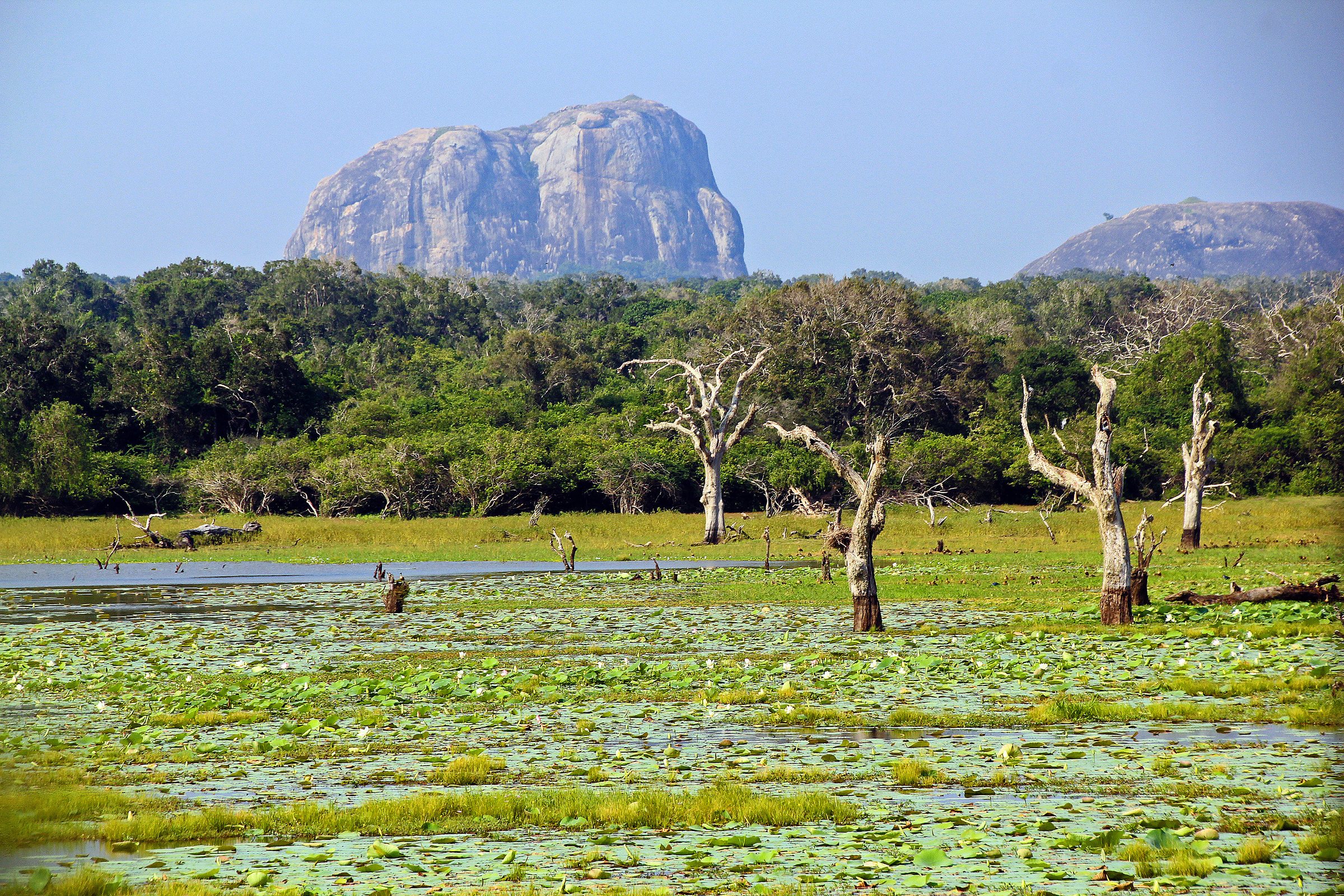 Grand Sri Lanka Tour multi-day tour